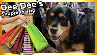 He Buys EVERYTHING His Dog TOUCHES | Dee Dee's Shopping Trip