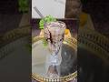 "5-Minute Dark Fantasy Shake 🤤"#icecream #shake #viral #food #cooking #trendingshorts