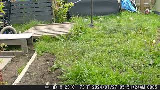 DSCF0005 DSCF0005