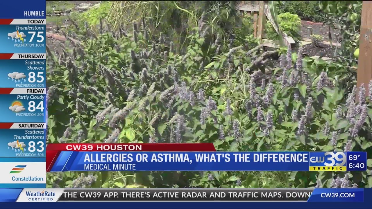 Where Houston ranks as an allergy capitol city - Medical Minute, Idolina Peralez