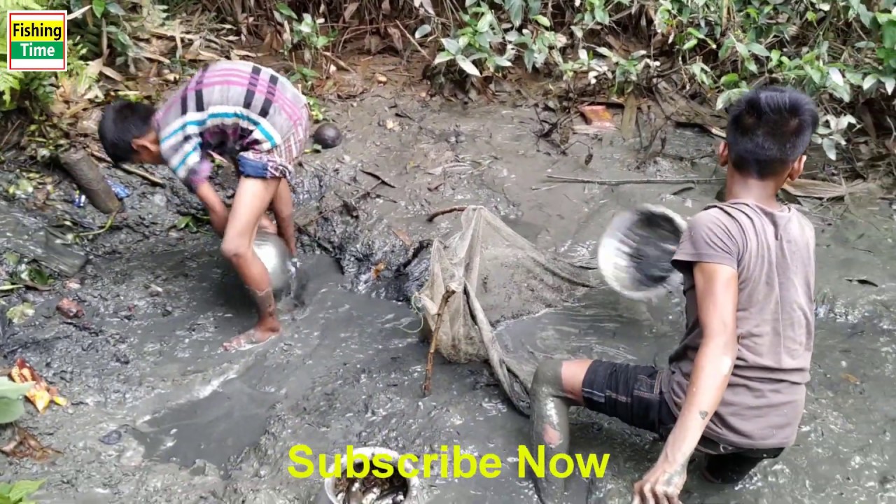 Wow! Amazing Muddy water Fishing| Fish Catching From Mud|By Hand Fishing| Best Hand Fishing Part-1