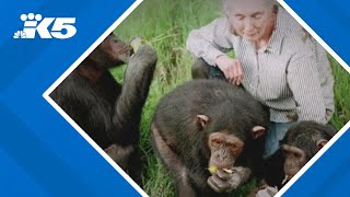 Conservationist Jane Goodall dies
