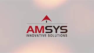 AMSYS Group