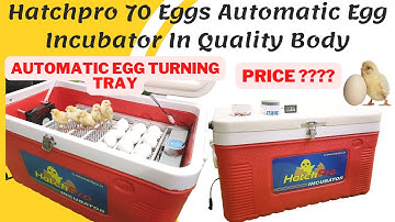 Hatchpro 70 eggs fully automatic egg incubator in Fibre body | Egg Hatching machine price