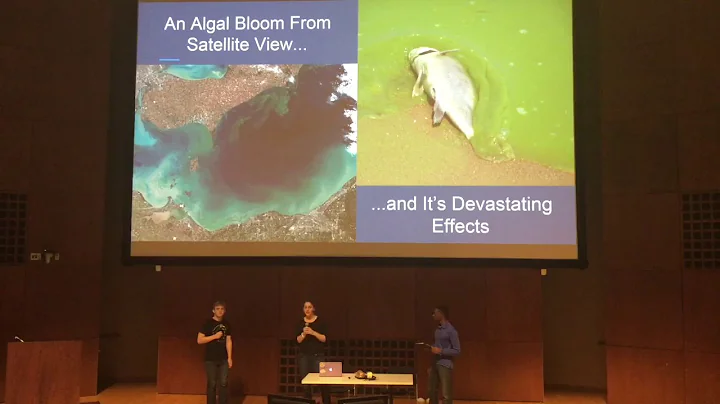 F16 Limiting Nutrients