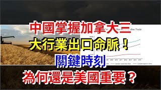 中國掌握加拿大三大行業出口命脈！關鍵時刻，為何還是美國重要？，[熱點軍事]