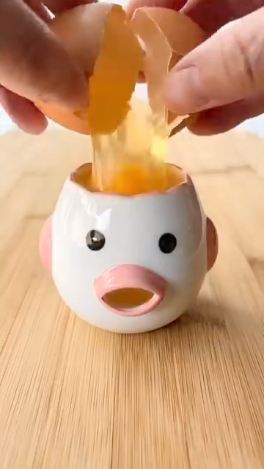 #kikakim