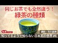 【知ってるようで知らない日本茶の世界】#4 同じお茶でも全然違う！緑茶の種類【日本の文化】