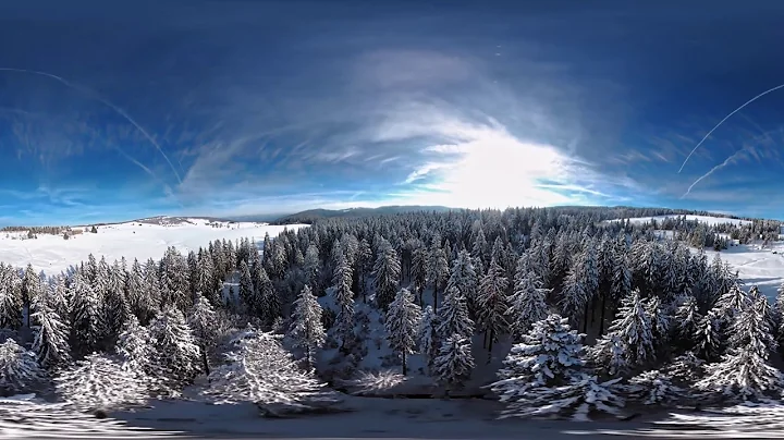 Black Forest 360 Drone cut