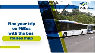 Plan your trip on MiBus with the bus routes map