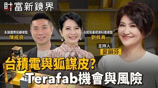 C.C. Wei Confirms Evaluation of Texas Fab and Terafab Talks with Elon Musk: What Opportunities an...