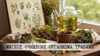 Мягкое очищение организма травами