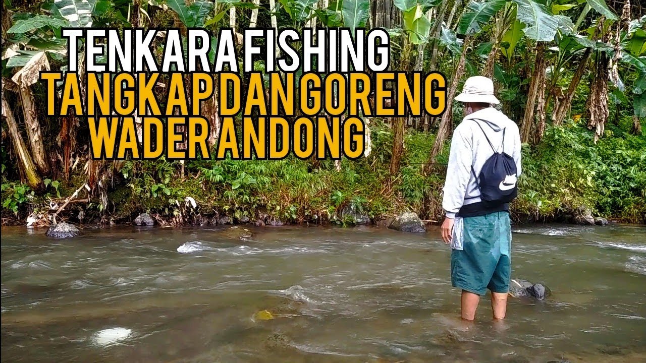 mancing wader andong ¡¡ hasil langsung di goreng dibawah gubug persawahan