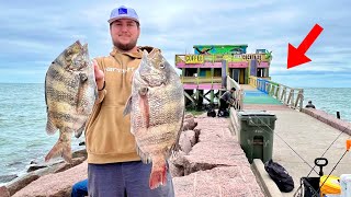 Using this TOP SECRET LIVE BAIT to catch BIG SHEEPSHEAD off the ROCKS