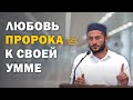 Как Пророк Мухаммад ﷺ переживал за свою умму?