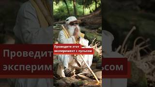 Шамбхави Махамудра Крийя —Путь К Радости