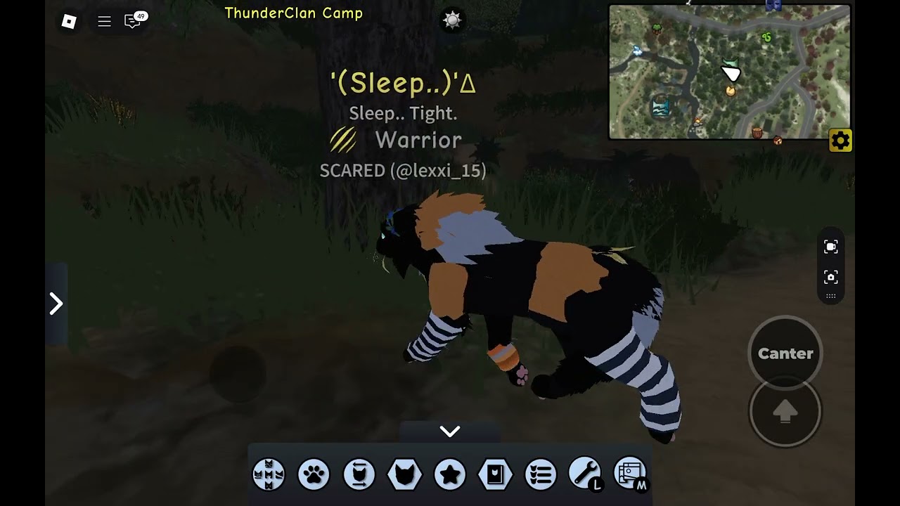 The thunder clan emptiness..