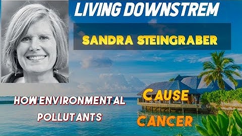 ENVIRONMNTAL SCIENCE l ENVIRONMNETAL AWARENESS l LIVING DOWN STREAM l CSS l PMS