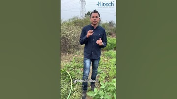 How to activate cloud data backup service on Hitech Software