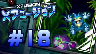 Lets play Super Metroid: X-Fusion part 18