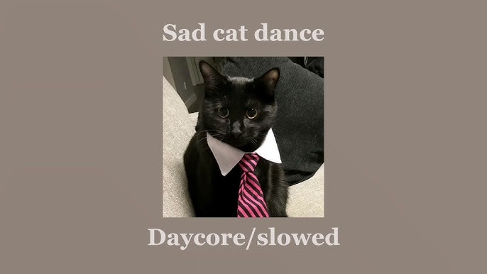 that sad cat dance meme but with robot girls 