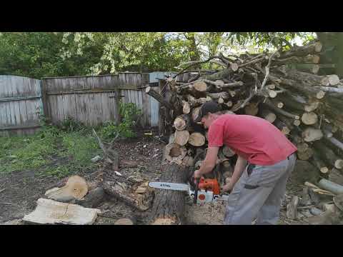 STIHL MS 260