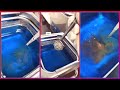 Ring cleaning satisfying || Ultrasonic Cleaner for jewelry Cleaning