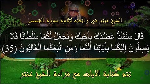 الشيخ عنتر في رائعته لتلاوة سورة القصص🌼من أعظم التلاوات بصوت نقي كماوعدناكم💯