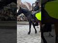 Mounted Police Patrol in Germany Reiterstaffel der Polizei im Einsatz