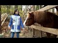 МАЛЕНЬКИЙ ЗООПАРК🐒🐎🐑🦃у Львові/Аня перший раз бачить Мавпочку і не тільки...