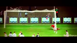 Zlatan Ibrahimovic Best Long Shot Goals Ever HD