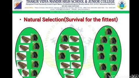 Std 10, Science & Technology Part 2, Heredity & Evolution (Part 4),Mr.Nitin .Mhapsekar