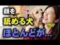 【衝撃】犬のよくする行動に隠された本当の気持ちを獣医師が解説