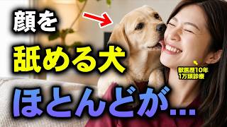 【衝撃】犬のよくする行動に隠された本当の気持ちを獣医師が解説
