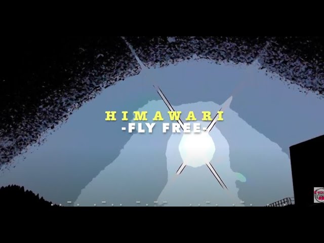 Himawari >> kawai o terrorífica