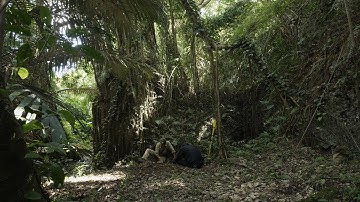 戦没者遺骨収集を追うドキュメンタリー映画『骨を掘る男』クラウドファンディング挑戦中 【監督からのメッセージ】