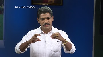 MANE NOBISCUM | Std 6 | Lesson 7 | Module 1 CATECHISM