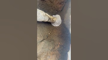 Swimming pool leak detection & repair in Wynnum