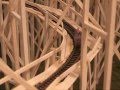 Deep Rock Railroad and Cloudscraper Roller Coaster