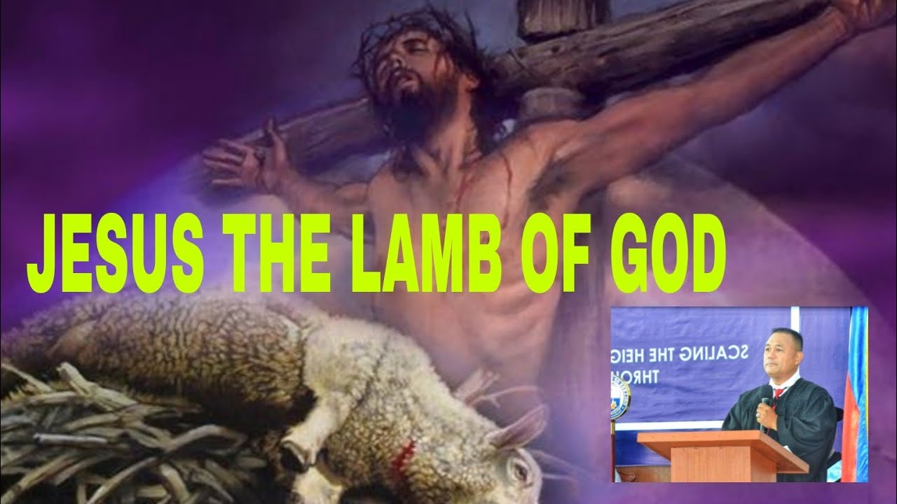 Jesus the Lamb of God John 12934 The Testimony of John the Baptist