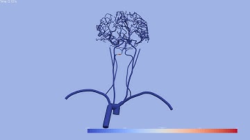 1D cardiovascular blood flow (part 2): particle transport and geometry issues