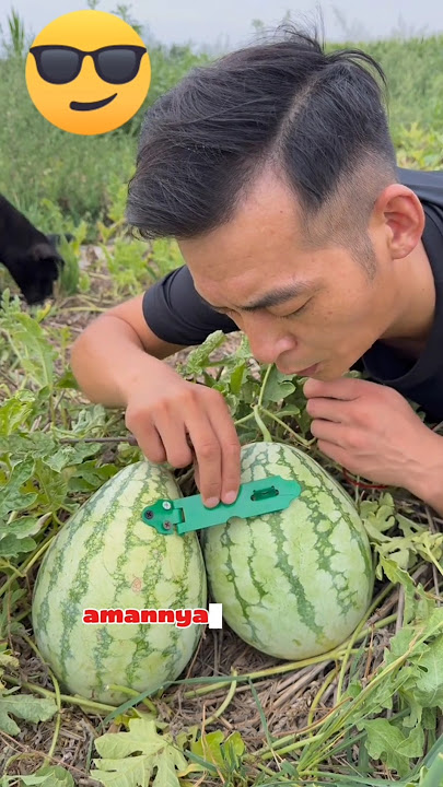BECAUSE GRINDING WATERMELON IS SO POPULAR‼️IT'S BETTER TO LOCK IT UP #watermelon #shorts #viral #...