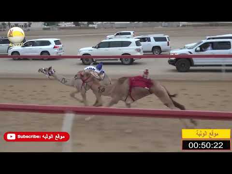 الشوط 3 كنايز ل أحمد مطوع الظاهري شارة الصندوق السبت 2019 04 13 الوثبة فطامين