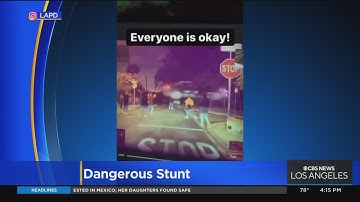 Search is on for driver of Tesla seen jumping Echo Park Street in viral video