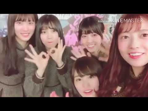 乃木坂46 🍉スイカメンバー ゆっちゃんの発言にみんなツッコミ‼️