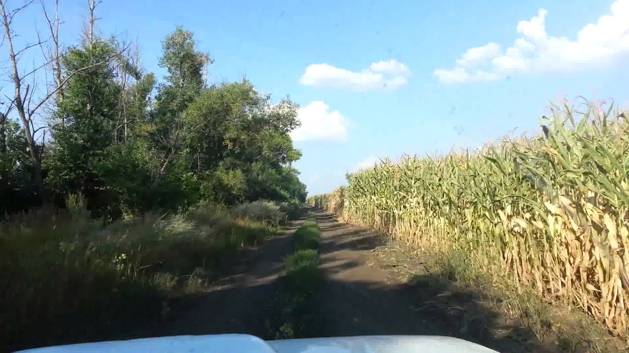 Тонут пастбища и нивы