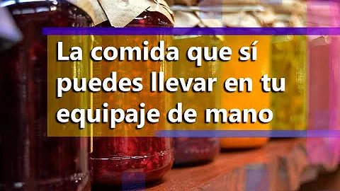 ¿Qué alimentos no están permitidos en el equipaje de mano de un avión?