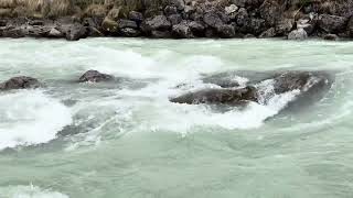 IMG 3756