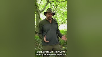 How to Find Your Way using Ivy - Natural Navigation