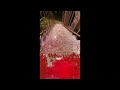 Crushing and Breaking Glass Bottles Vs. Stairs (Crunchy ASMR) ⚠️🔥 #satisfying #shorts